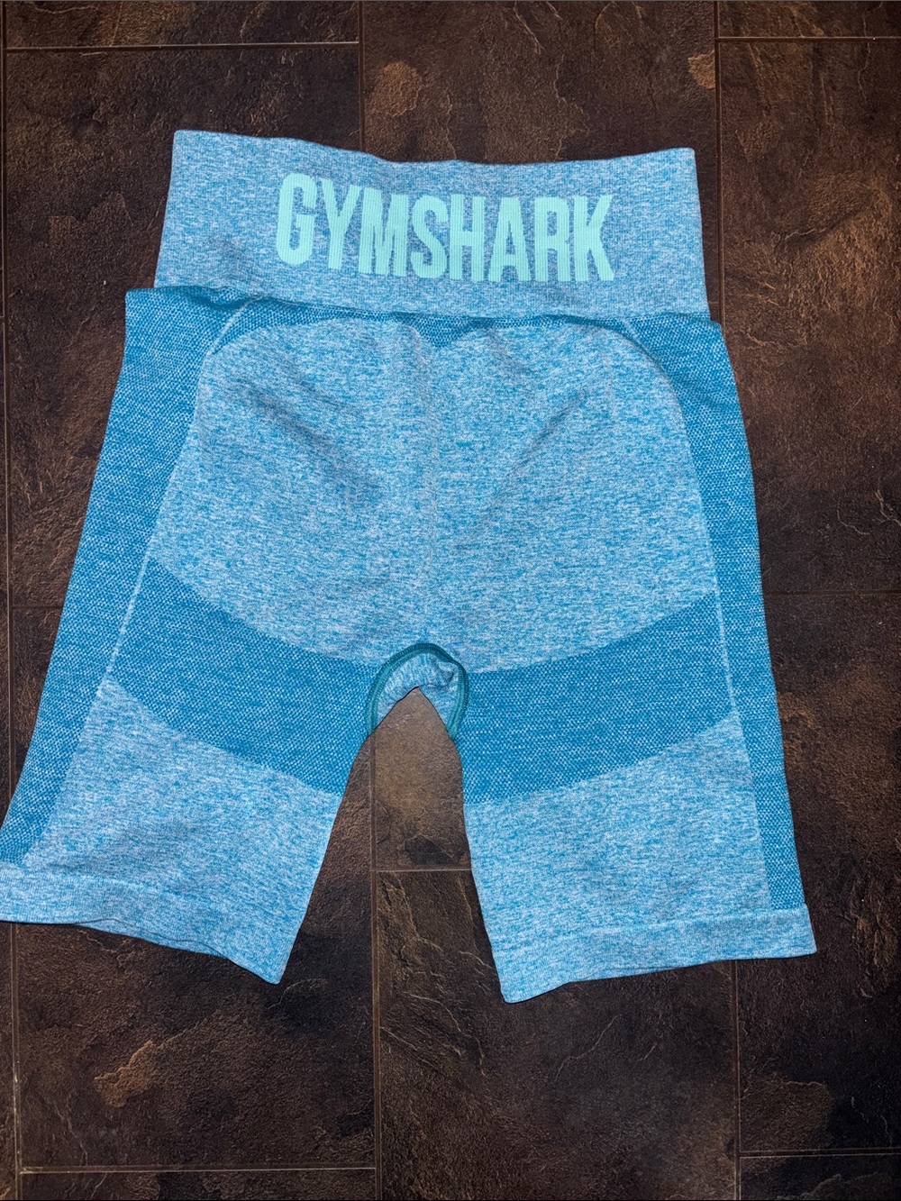 Gymshark Light Aqua Seamless Bike Shorts with Teal Panels